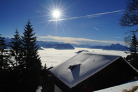 Rigi im Winter